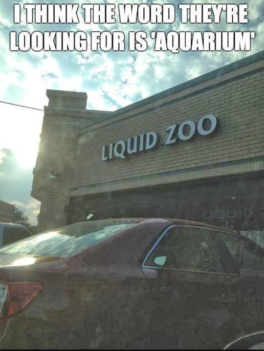 Funny Picdump