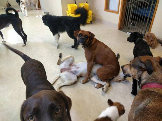 daily picdump 105 pics 43.html - 105 HD Photos | Premium Gallery 2017