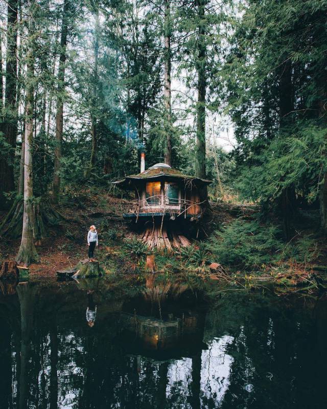 daily picdump 105 pics 43.html - 105 HD Photos | Premium Gallery 2017