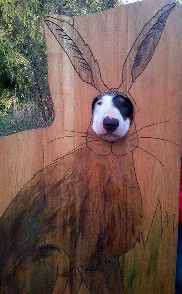 daily picdump 105 pics 43.html - 105 HD Photos | Premium Gallery 2017