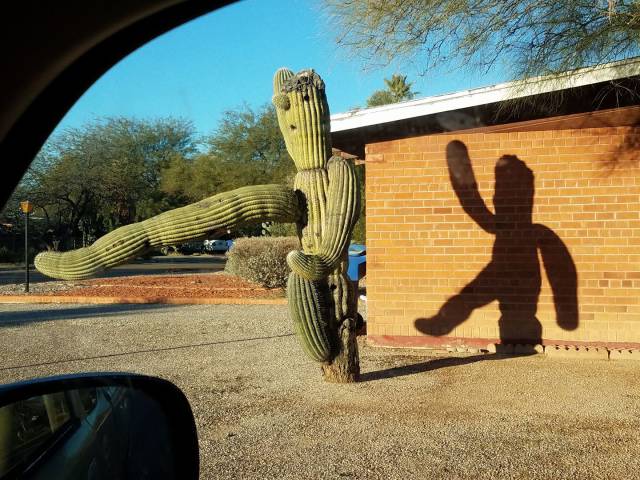 Daily Picdump