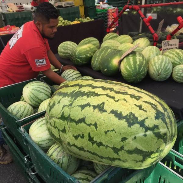 daily picdump 98 pics 21.html - 98 HD Photos | Premium Gallery 2017