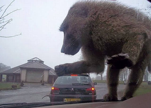 morning picdump 51 pics 21.html - 51 HD Photos | Premium Gallery 2017