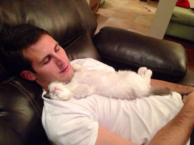 No One Can Hate Cats Forever!