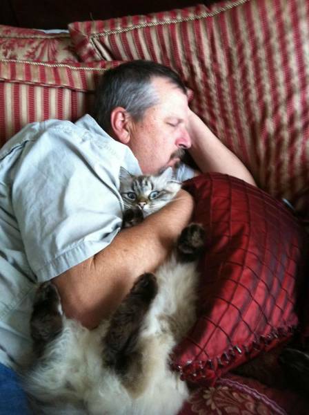 No One Can Hate Cats Forever!