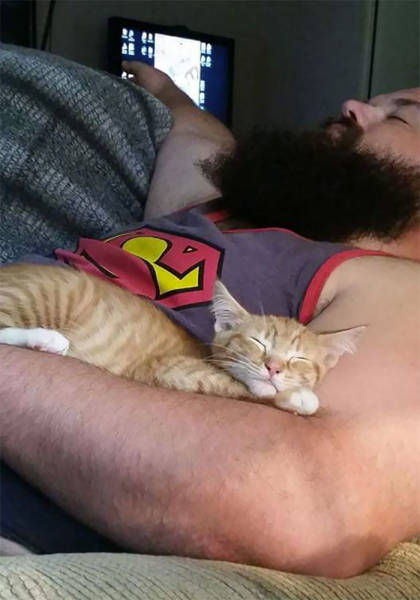 No One Can Hate Cats Forever!