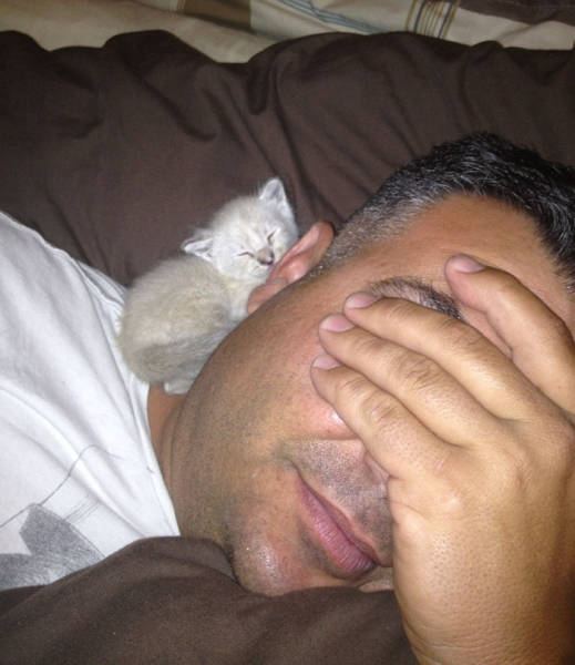 No One Can Hate Cats Forever!