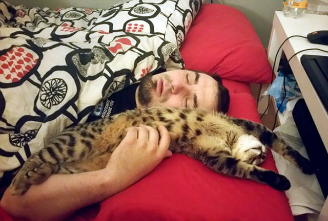 No One Can Hate Cats Forever!