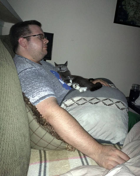 No One Can Hate Cats Forever!