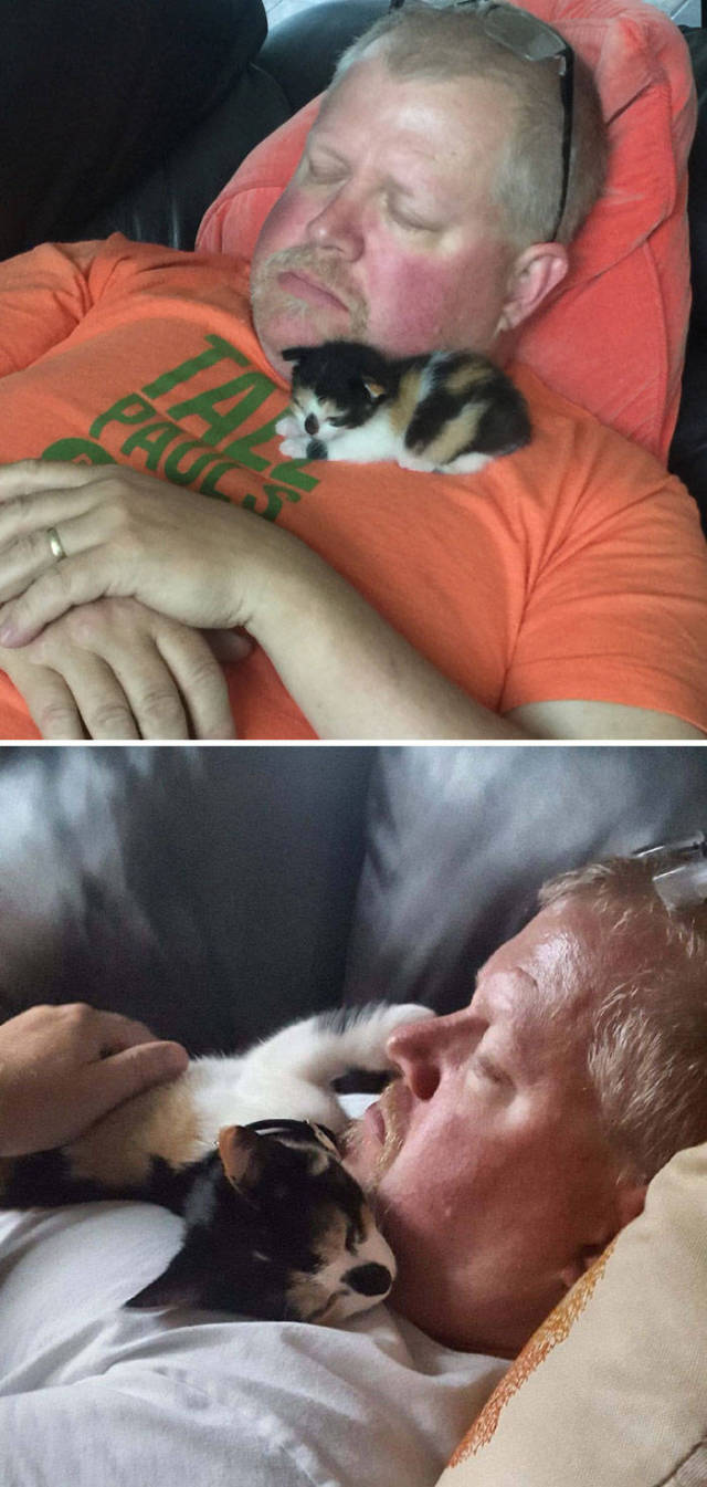 No One Can Hate Cats Forever!