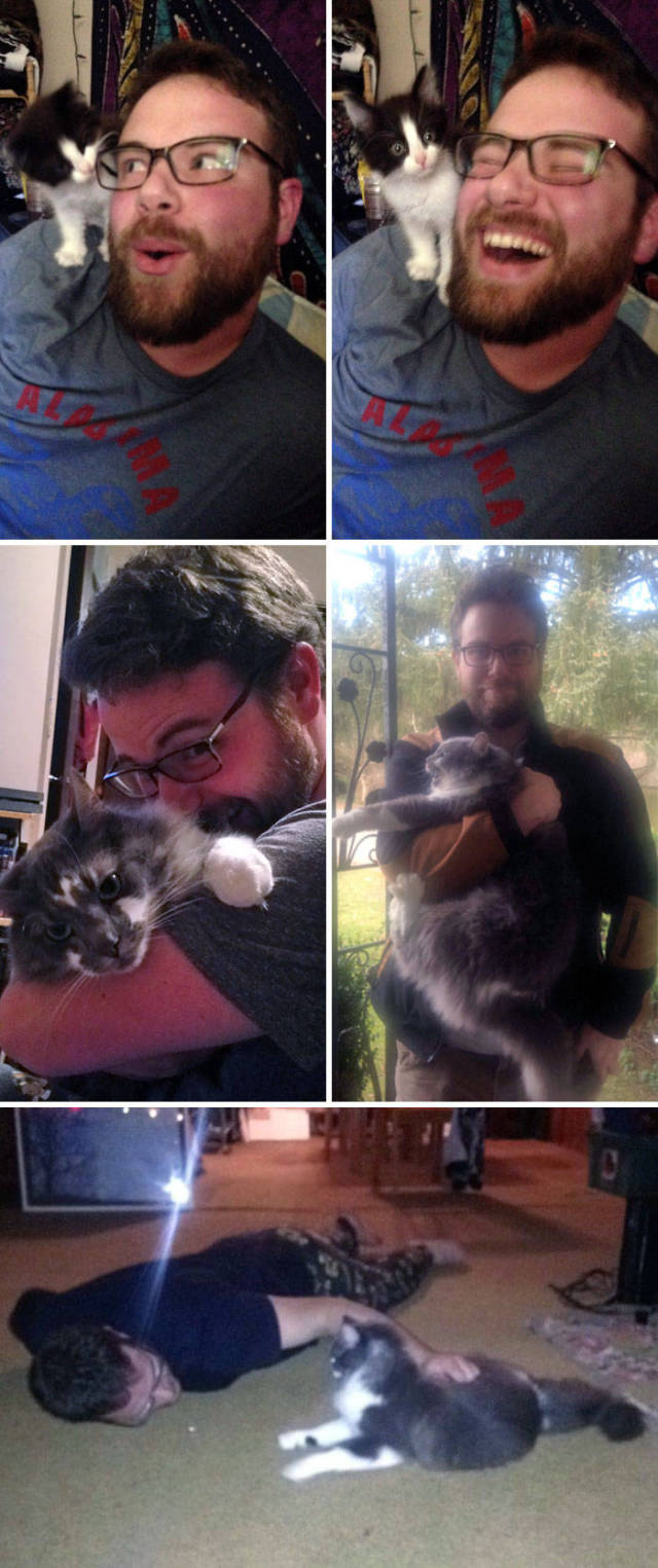 No One Can Hate Cats Forever!