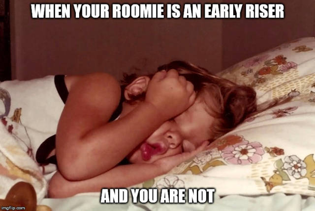 Funny Picdump