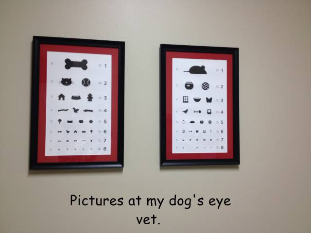 Funny Picdump