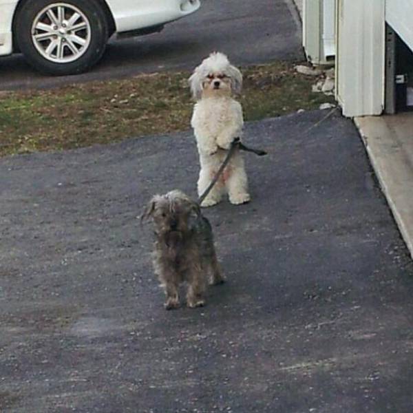 funny picdump 53 pics 1.html - 53 HD Photos | Premium Gallery 2017