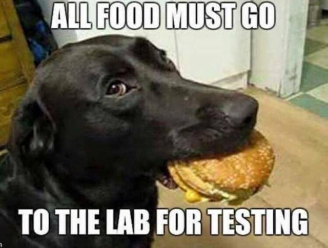 funny picdump 53 pics 1.html - 53 HD Photos | Premium Gallery 2017