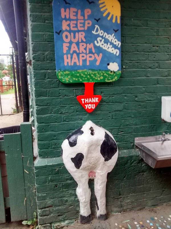 Funny Picdump