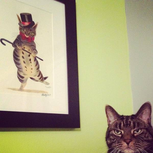 Funny Picdump
