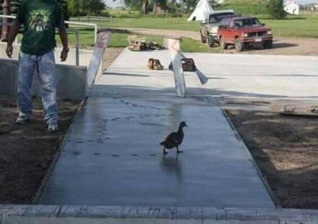 Funny Picdump