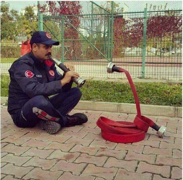 Funny Picdump