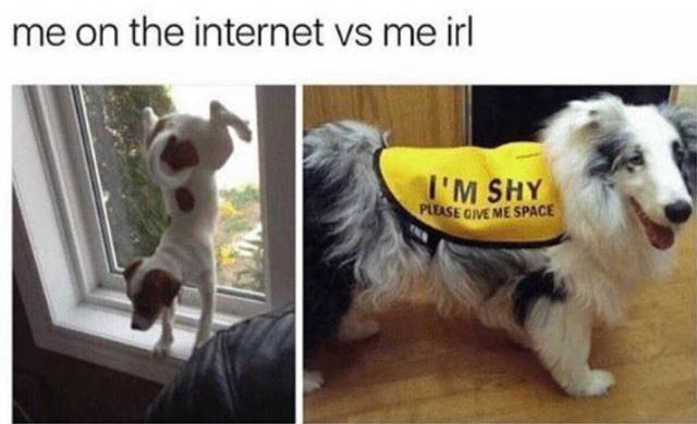 funny picdump 56 pics 17.html - 56 HD Photos | Premium Gallery 2017
