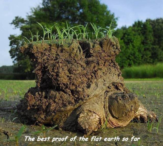 funny picdump 56 pics 17.html - 56 HD Photos | Premium Gallery 2017