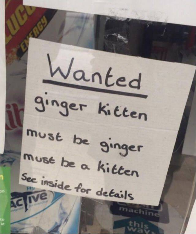 funny picdump 56 pics 17.html - 56 HD Photos | Premium Gallery 2017