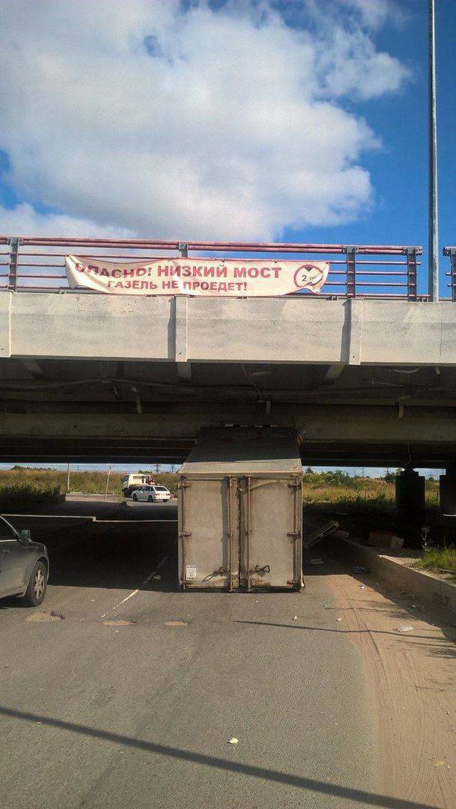 daily picdump 85 pics 21.html - 85 HD Photos | Premium Gallery 2017