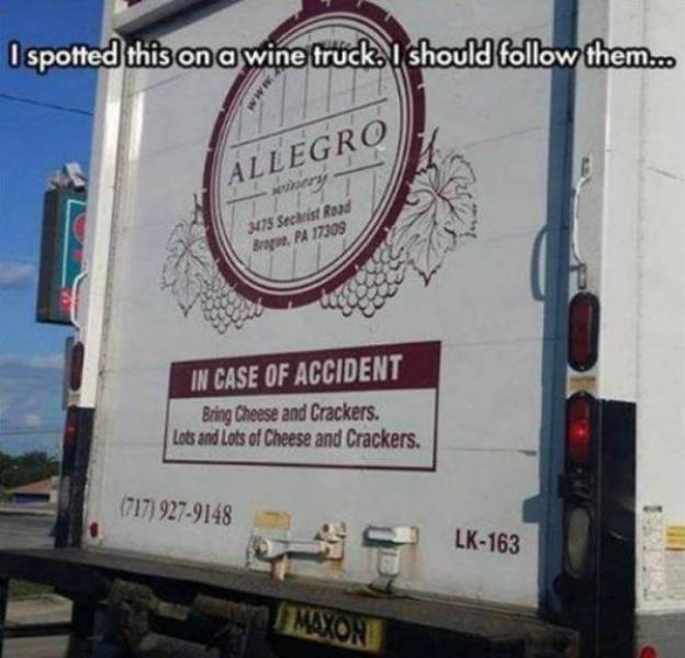 Hilarious Drunk and Wasted People