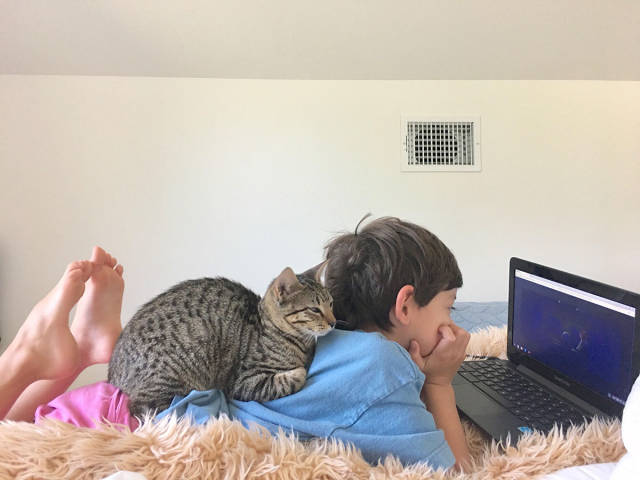 morning picdump 53 pics 3.html - 53 HD Photos | Premium Gallery 2017