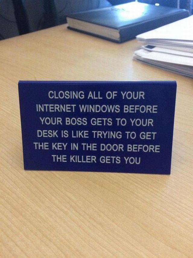 Daily Picdump