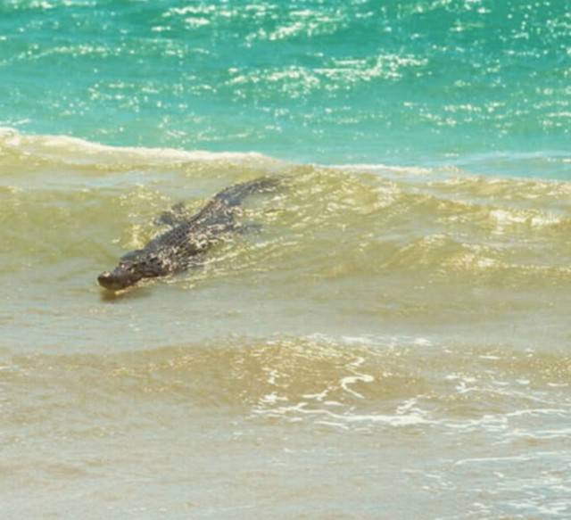 Australia: Yes Or No? Hard Decision!