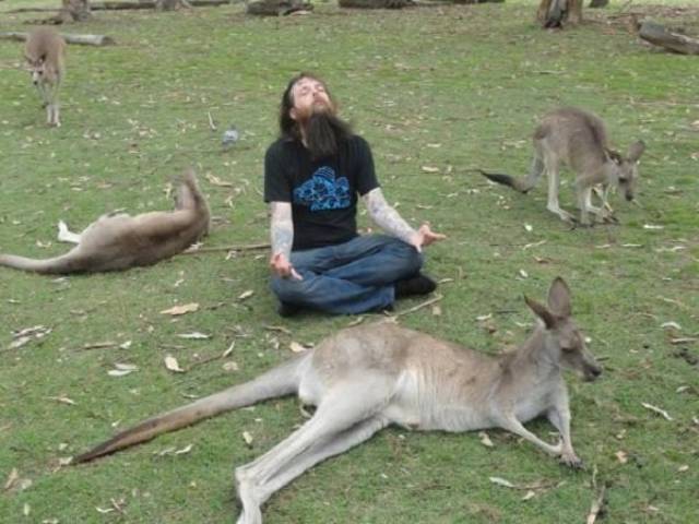Australia: Yes Or No? Hard Decision!