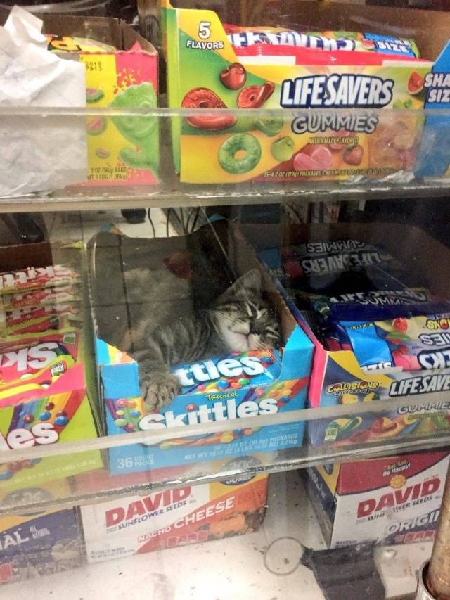 Daily Picdump