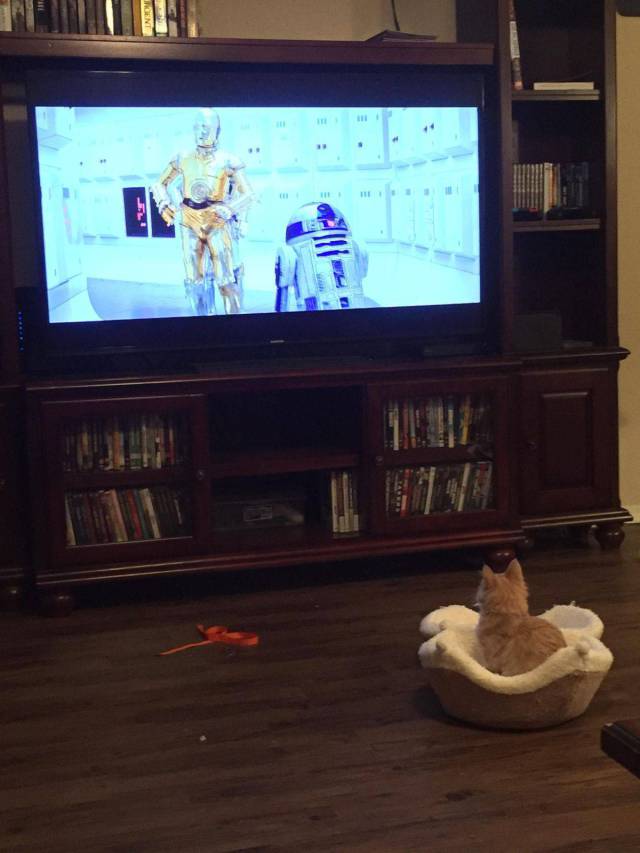Daily Picdump