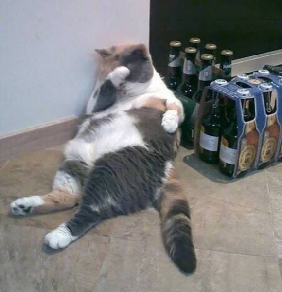 Have You Ever Been So Drunk...?