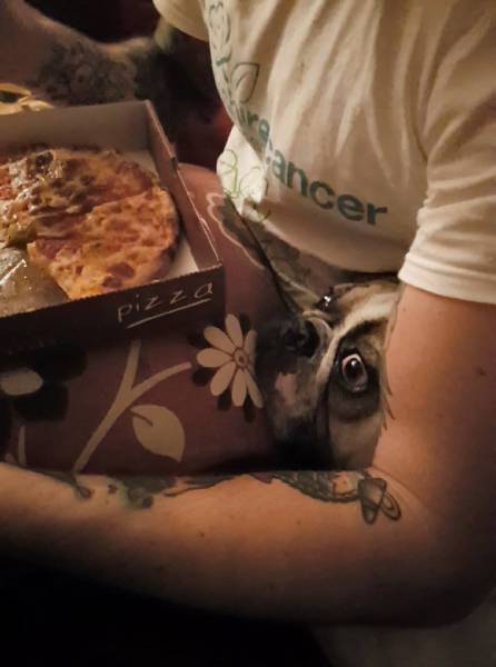 Morning Picdump