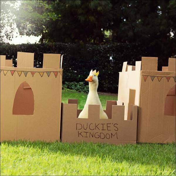 morning picdump 53 pics 3.html - 53 HD Photos | Premium Gallery 2017