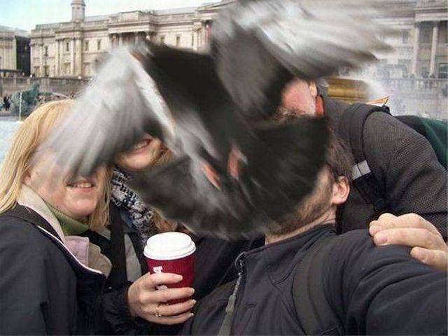 daily picdump 93 pics 21.html - 93 HD Photos | Premium Gallery 2017