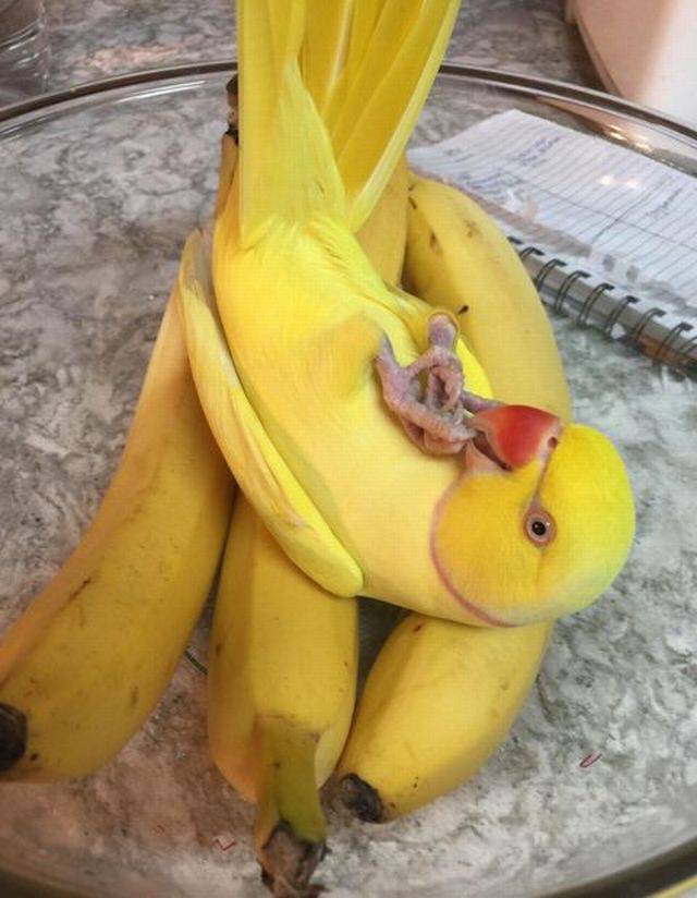 daily picdump 93 pics 21.html - 93 HD Photos | Premium Gallery 2017