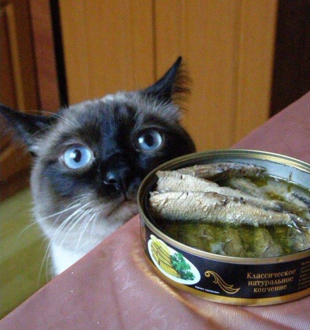 daily picdump 93 pics 21.html - 93 HD Photos | Premium Gallery 2017
