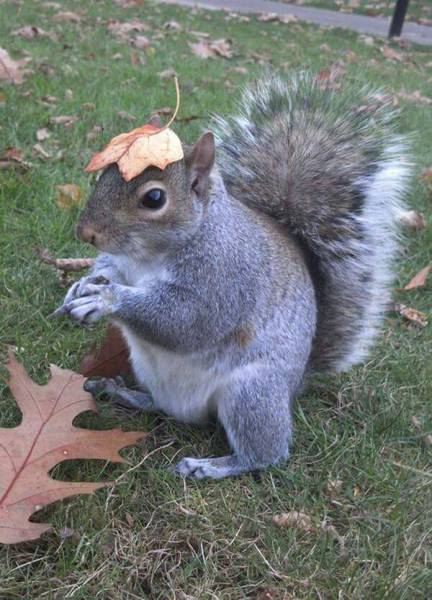 morning picdump 51 pics 21.html - 51 HD Photos | Premium Gallery 2017