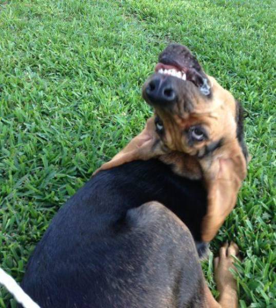 morning picdump 51 pics 21.html - 51 HD Photos | Premium Gallery 2017