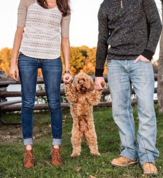 morning picdump 51 pics 21.html - 51 HD Photos | Premium Gallery 2017