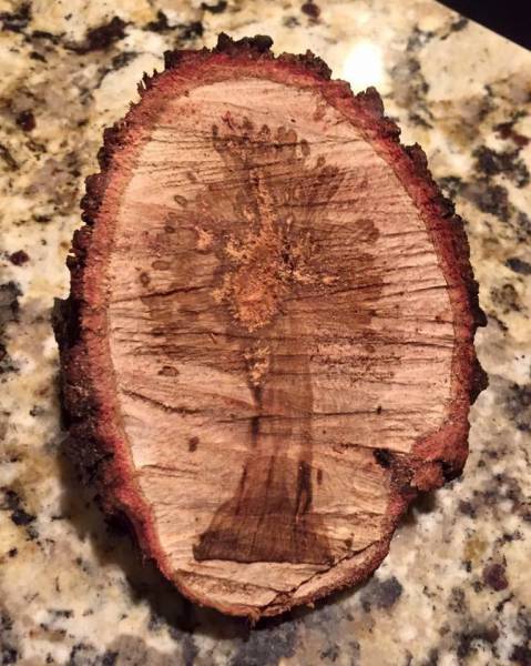morning picdump 51 pics 21.html - 51 HD Photos | Premium Gallery 2017