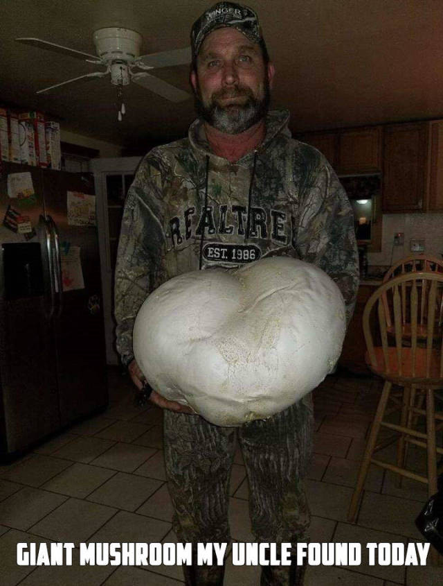 Morning Picdump