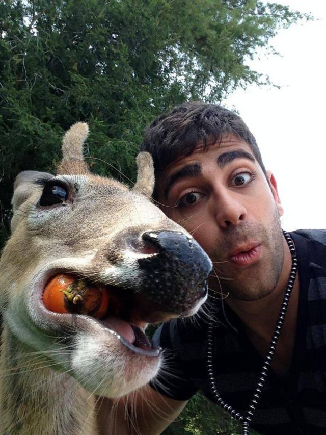 Daily Picdump