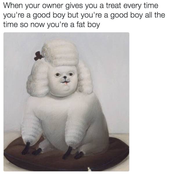 Funny Picdump