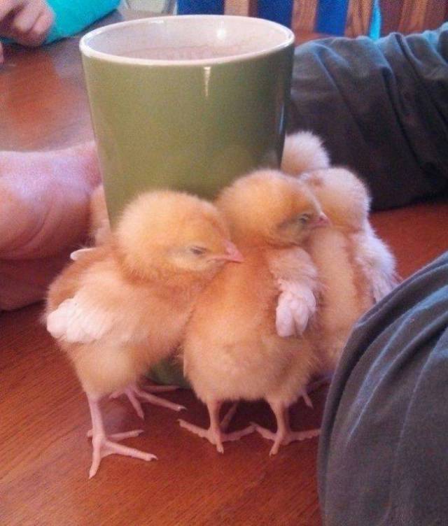 Daily Picdump [WEEKEND EDITION]