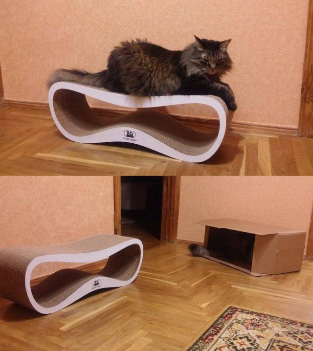 daily picdump 99 pics 44.html - 99 HD Photos | Premium Gallery 2017