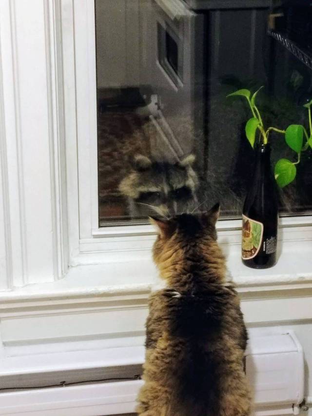 daily picdump 99 pics 44.html - 99 HD Photos | Premium Gallery 2017